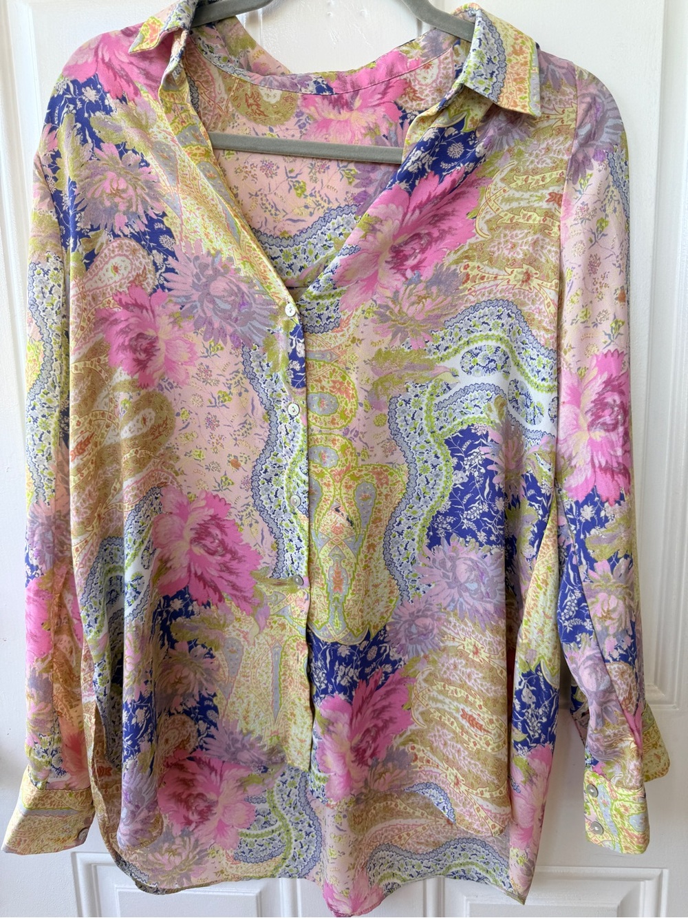 Rose & Olive Pink Blue Paisley Floral Button-Down Shirt